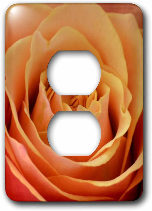 3dRose lsp_31363_6 Sweet Peach Rose Flower Photography Outlet Cover, Multi-Color