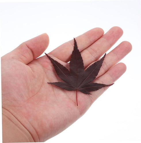 Natural Maple Leaf Sushi Decorations - Elegant Food Presentation