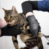 1st Choice Black Nitrile Gloves, Box of XL Disposable Latex Free Exam Grade Black Gloves, 3mil