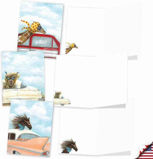 Set 20 10 AM9276OCB-B2x10 The Best Card Company Assorted Blank Greeting Card Box - Incl. Cards + Envelopes - Unique