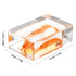 GARVALON Artificial Resin Shrimp Specimen for Education and Home Collection Teaching Tool for Science Class Decorative