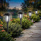 Solar Lights Outdoor 8 Pack, Cool White Solar Pathway Lights, Auto On/Off,Waterproof