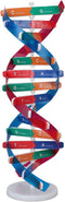 Human DNA Model, Colorful Double Spiral Assemble Model, Educational Teaching Kit for Biological Science