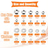Dianrui 310PCS 10 304 Set #4-40,#6-32,#8-32,#10-24,#10-32,#12-24,1/4''-20,5/16''-18, 3/8''-16,1/2''-13 SAE Hex Nuts