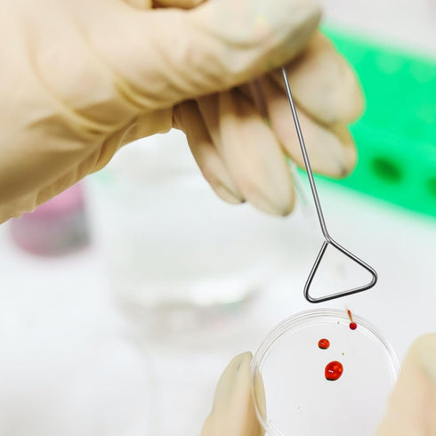 Petri Dish Set:Stainless Steel Cell Spreading for Laboratory Supplies,Wide 4cm/1.6inch,4 pcs