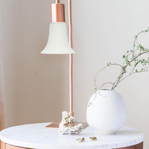 Homoyoyo Frosted Glass Lamp Cover Decorative Lampshade for Wall and Hanging Lights Transparent Bell-Shaped Light Shell