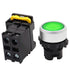 mxuteuk Green LED Light Voltage 110V-220V 22mm 1NO Waterproof IP65 SPST Momentary Push Button Switch