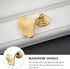 2pcs Toddmomy Fan-Shaped Drawer Cabinet Knobs Single Hole Furniture Handle Pulls for Bookshelf Shoe Cabinet Bedside