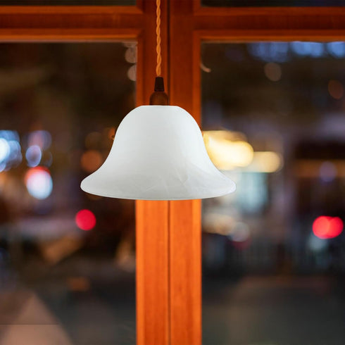 Leefasy Glass Lamp Shade Lamp Cover Cover Pendant Light Shade for Chandelier Living Room Bedside Dining Room Restaurant
