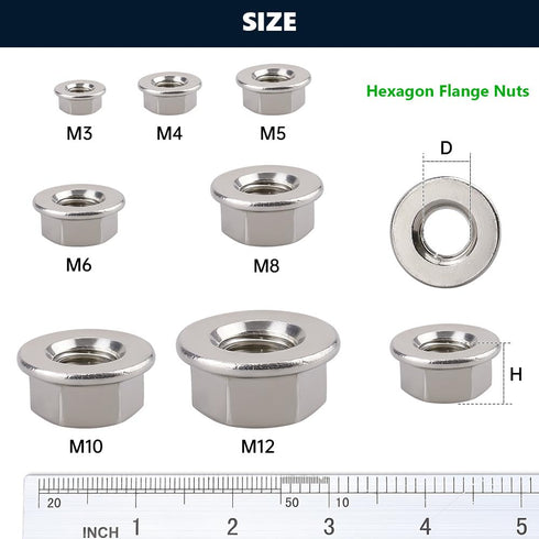RoyceMart (20 M8-1.25 304 PCS) Hexagon Flange Nuts with Non-Serrated Flange Washer Head, Stainless Steel, Hex Drive