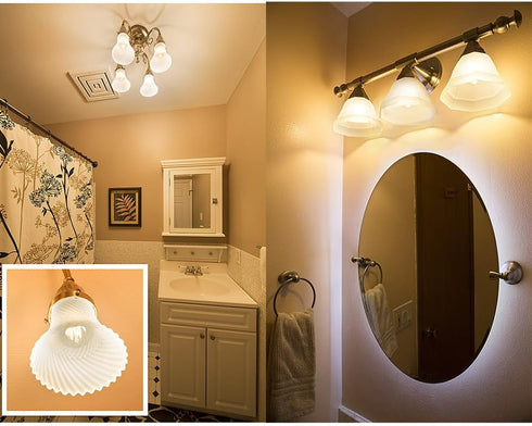 Beriteluce Dimmable G16.5 Bulb Bulbs 4W 40Watt 350LM 2700K E12 6Pack (E12 4W) LED Globe Vintage LED Edison Equal Warm