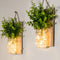 ECTY Rustic Wall Sconces, Mason Jar Sconces, Farmhouse Home Decor, LED Fairy Lights,