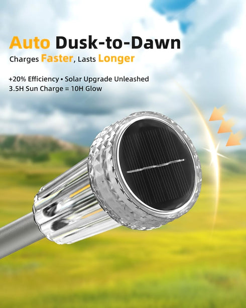 12 Pack DERAYSION Solar Pathway Lights Outdoor, Auto Dusk-to-Dawn Landscape Garden Lighting, Waterproof Stainless Steel