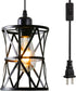 Laihezz Plug in Pendant Light, Hanging Light Fixture with Plug in Cord, Metal