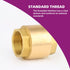 1/2" Female Threaded Vertical Check Valve - Brass Check Valve for Water Backflow Prevention