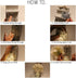 YI LIGHTING Set 2 of - Rustic Wall Sconces - Mason Jars Sconce with Remote Control, Flowers, LED Fairy Lights for Home