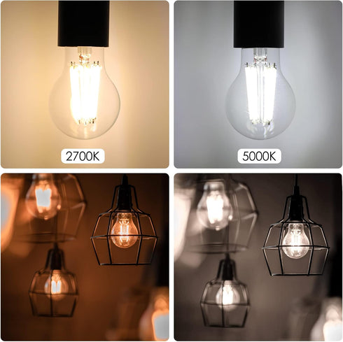 Energetic Dimmable A19 LED Edison Light Bulb, 12W Equivalent 100W, 1600LM High Brightness, 5000K Daylight, 6-Pack
