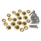 10PCS Brass Mirror Screws - 12mm Golden Cap Cover Nails Fasteners for Decorative Mirror, Sign Hardware