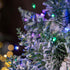 Fairy Lights Plug in, 10FT 100 LEDs Waterproof String Lights, Green Wire Firecracker Lights with Remote 8 Modes for