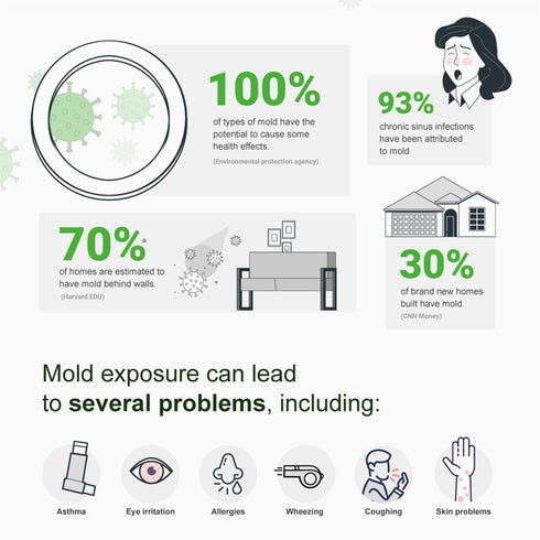 Supreme DIY Mold Test Kit for Home Air Quality, Air and Surface Testing, Pre-Paid Return Mailer, Expert Consultation