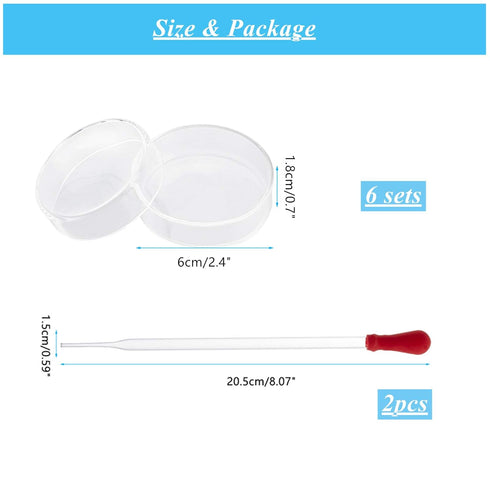 OLYCRAFT 6PCS Glass Petri Dishes High Borosilicate Glass Bacterial Culture Dishes with Lid 60mm Dia x 18mm Deep with 2pcs Glass Culture Plate for Laboratory School Science Project