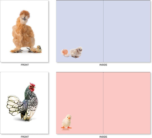 The Best Card Company - 20 Blank Birds Notes with Envelopes - All Occasion Chicken Assortment (10 Designs)