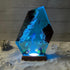 (6 4IN) Ocean Scene LED Night Light, Underwater Marine Life Resin Lamp, Color Changing Desk Decor with Wooden Base *