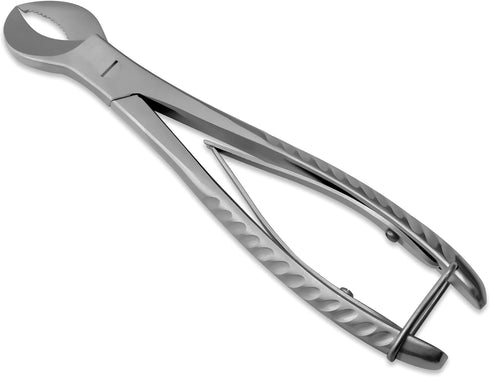 Stainless Steel Dental Pliers Plaster Nippers Cutter Dentist Lab Equipment, Cow Horn