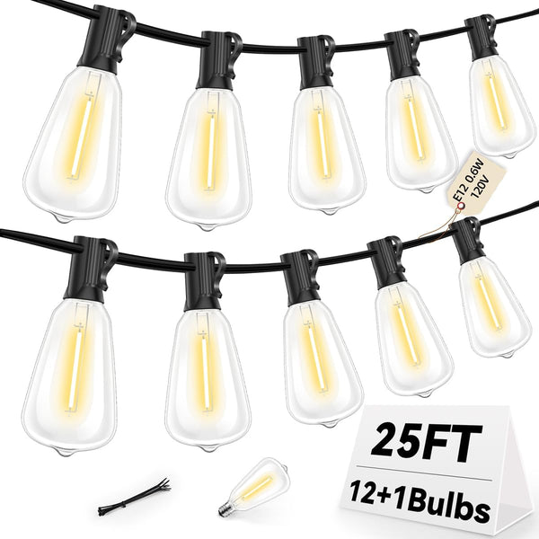 Hobbynors ST38 Outdoor String Lights 25FT with 12+1 LED Bulbs, E12 Socket, Waterproof
