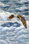Tree-Free Greetings ECOnotes Notecard Set, 12-Count Notecards with Envelopes, 4 x 6 Inches, Eagle Spirit