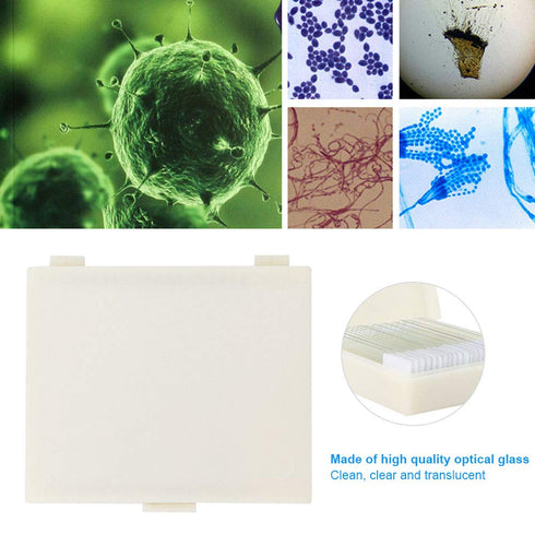 20 Prepared Microscope Slides of Biology, Science Education Microscope Sample Slides, Pathology Microbiological