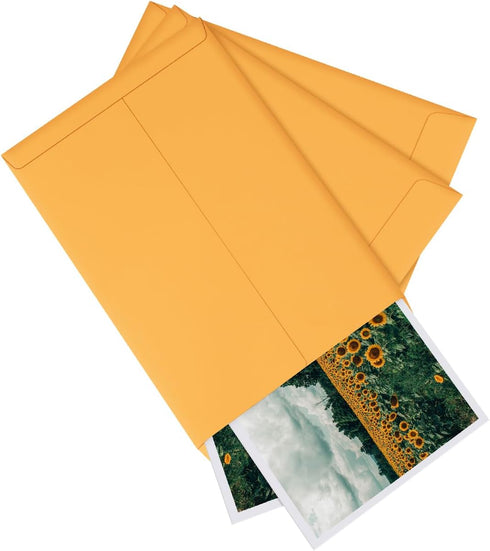 Eupako Catalog Envelopes - 6x9 Small Brown Self Seal Envelopes, 250 Pack for Mailing, Organizing, Storage