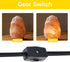RTNLIT E12 Bulb 4.9 Salt Lamp Cord Replacement, Night Light Cord with Light Socket Rotary Switch Plug for Christmas
