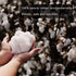 WXJ13 200g 100% Cotton Beauty Coil - 65 Feet / 20 M for Manicures and Salon