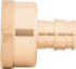 SharkBite 1/2 Inch x 3/4 Inch Expansion FNPT Adapter Fitting for PEX-A Pipe, Brass Plumbing Fittings, Female NPT Adapter for PEX-A Tubing, UAB068LFA by SharkBite