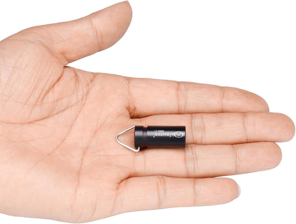 LIGHTFE MINI01 Keychain Flashlight - Mini Keychain Light, Small and Bright (Mini01 Black)