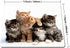 Smooffly Cats Mouse Pad for Computers, Kittens Family Cats Design
