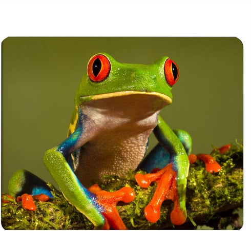 Frog Gaming Mousepad Cute Tree Frog Green Wild Animal Mouse Pad for Computer Desk Office