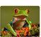 Frog Gaming Mousepad Cute Tree Frog Green Wild Animal Mouse Pad for Computer Desk Office