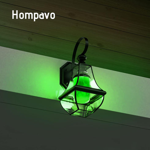 Hompavo Upgraded LED Flame Light Bulbs, Green Flickering Effect, E26 Flame Bulb for Home Halloween, St. Patrick's Day,
