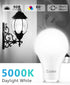 GU24 Dusk to Dawn Outdoor Light Bulbs,Light Sensor A19 LED Bulbs,Photocell Sensor, Automatic On/Off for Indoor/Outdoor Security Lighting,10-Watt(90-Watt Equivalent),5000K Daylight, 4 Pack by Ecoiot