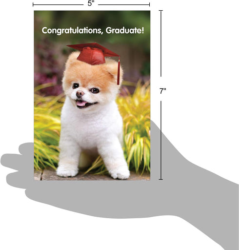 The Best Card Company Graduation Greeting Card with Envelope - Congratulations Graduate Notecard, School, College