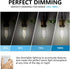 BORT Dimmable LED Edison Bulbs, 6W Vintage Light Bulb Equivalent to 60W, E26 5000K ST58/ST19, 6 Pack