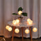 TIGOMOOV 10 White Nylon Lantern String Lights, 120V Plug in, 9.83FT White
