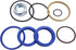 Lift cylinder Hydraulic Seal Kit 6803329 7137769 Replacement for Bobcat 500 520 530 533 721 722 730 731 by AIPICO