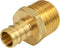 FQNB1010-OM 1 Inch x 1 Inch No Lead Adapters, Brass Construction Compatible w/PEX Piping, Easy to Install, 1 x 1