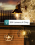 6 Pack Sunco Lighting A19 Outdoor LED Bulbs, 9W (60W Equivalent), 3000K Warm White, Photocell Sensor