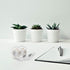 BOMEI PACK Office Transparent Tape with Dispenser, 16PACK Clear Refill Rolls Gift Wrap Tape Dispenser, 3/4in x 1000in