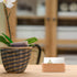 AUEAR 2 Pack Wood Business Card Holder for Desk, Beech Wooden Organizer Display Stand for Office Home Desktop