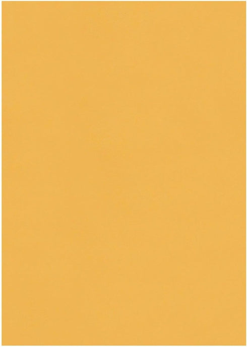 Quality Park Catalog Envelopes, Redi-Seal, Brown Kraft, 7.5 x 10.5, 250 Count (43462)